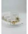 Zirkon Taşlı Pirinç Zirkon Küpe - Kp00361
