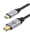 ZR126 Siyah Type-C Mini Dp Çevirici Kablo 1,8 M