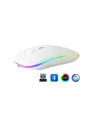 ZR215 Cba100 Rgb Beyaz Şarjlı Mouse