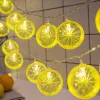 2m 10 Led Pilli 2 Kademeli Limon Led Işık Mz-304