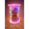 Balon Kuş Ahşap Işıklı Led Fanus