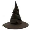 Harry Potter Seçmen Şapkası Çocuk Boy