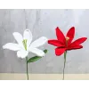 El Örgüsü Zambak Çiçeği
