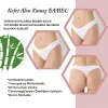 ieg™ G-Box 936 Bayan Bambu 3Lü String