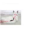 Kedi Gezdirme Göğüs Tasması