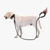 Köpekler İçin Reflektörlü Halat Gezdirme Tasması