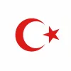 Türk Bayrağı Oto Sticker Kırmızı 23x17 cm