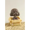 Köpek Işıklı Masa Lambası