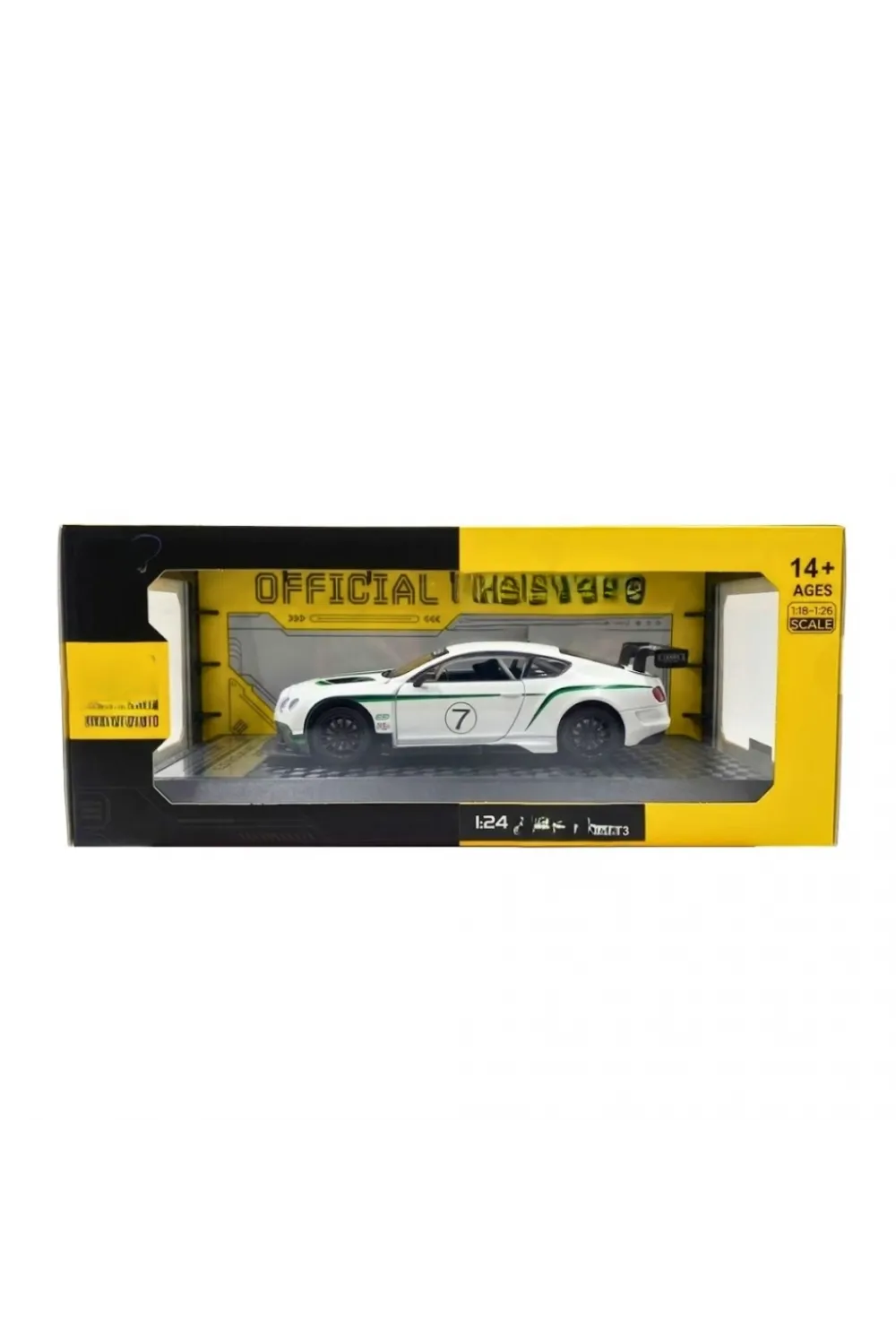 1/24 GT3 Model Araba