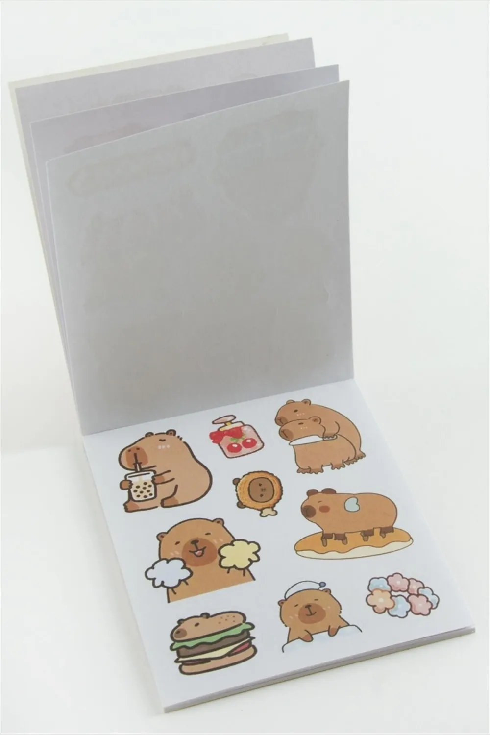 12 Yapraklı Çzgflm Karakteri Defter Sticker