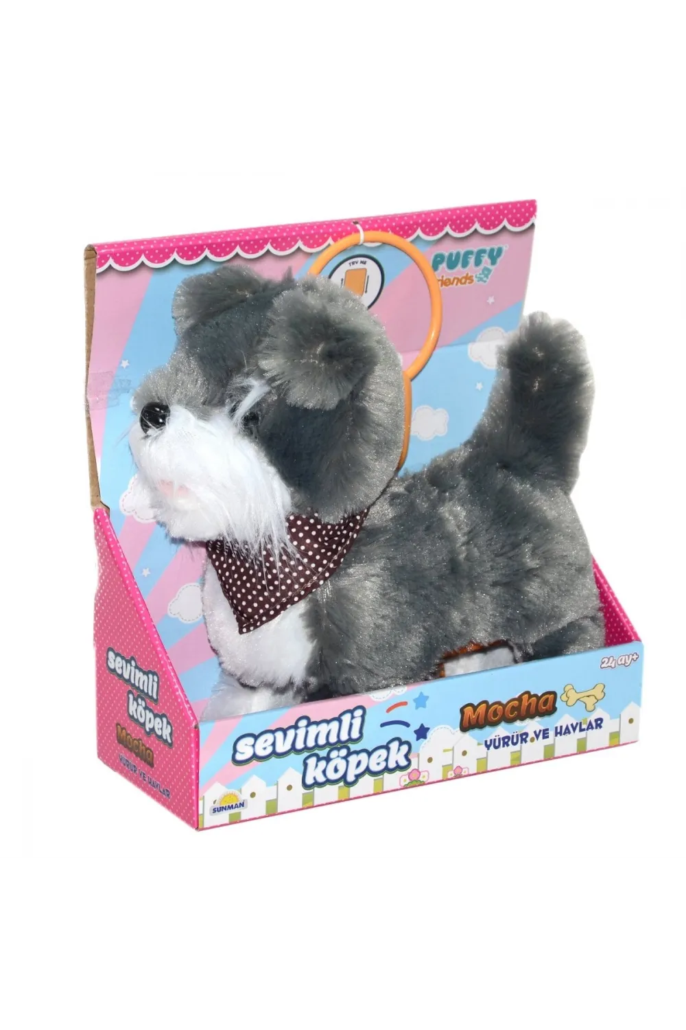 2859  Sevimli Köpek Mocha