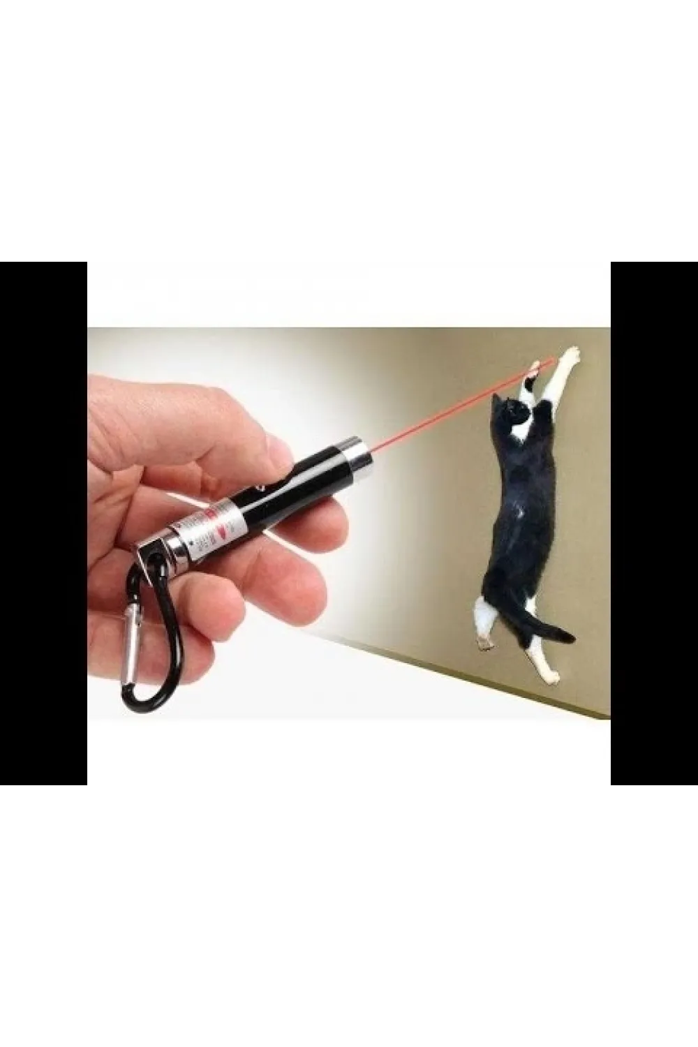 4 Yedek Başlıklı Pilli Kedi Oyuncağı Lazer Anahtarlık