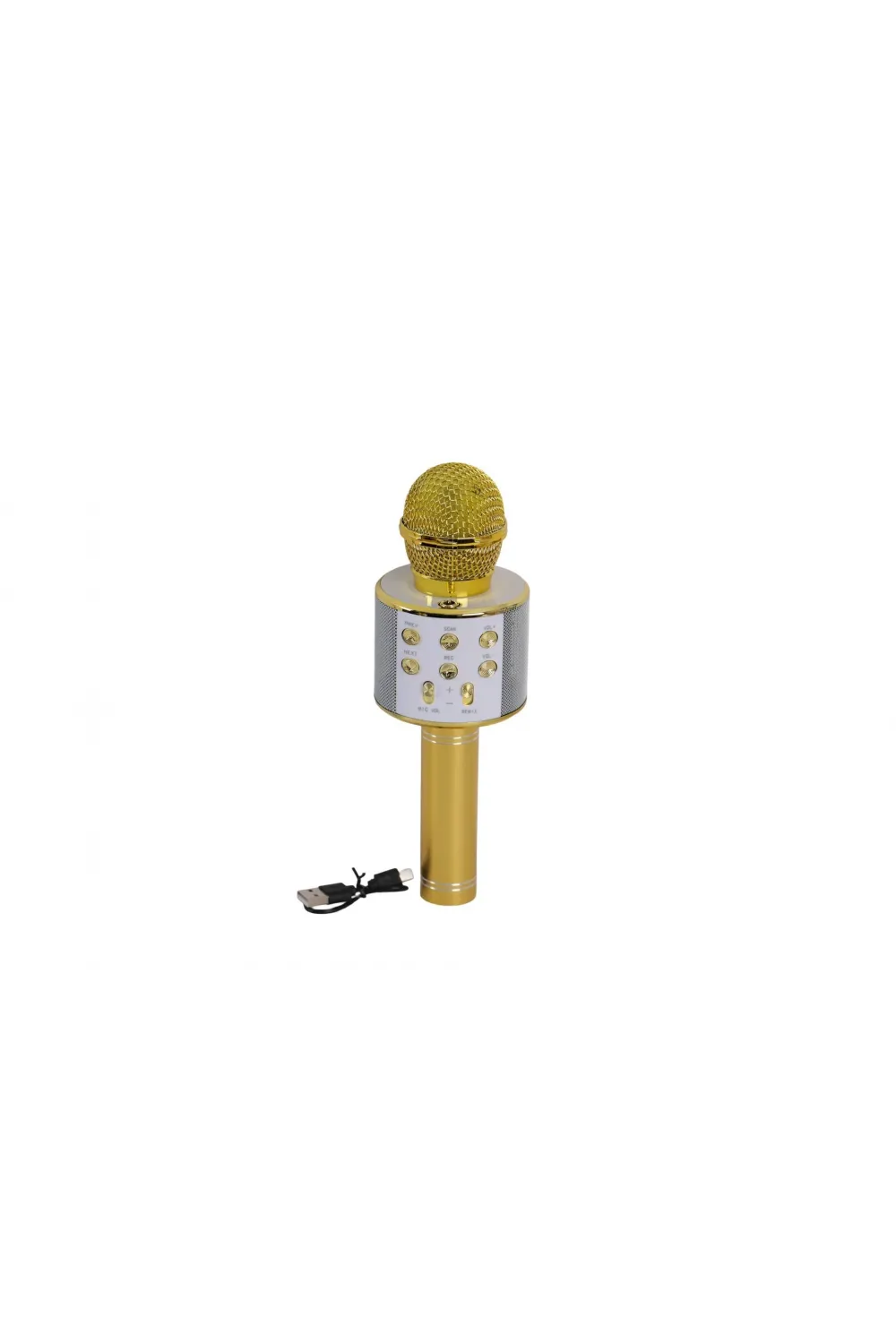 EMR-101 KUTULU KARAOKE MİKROFON