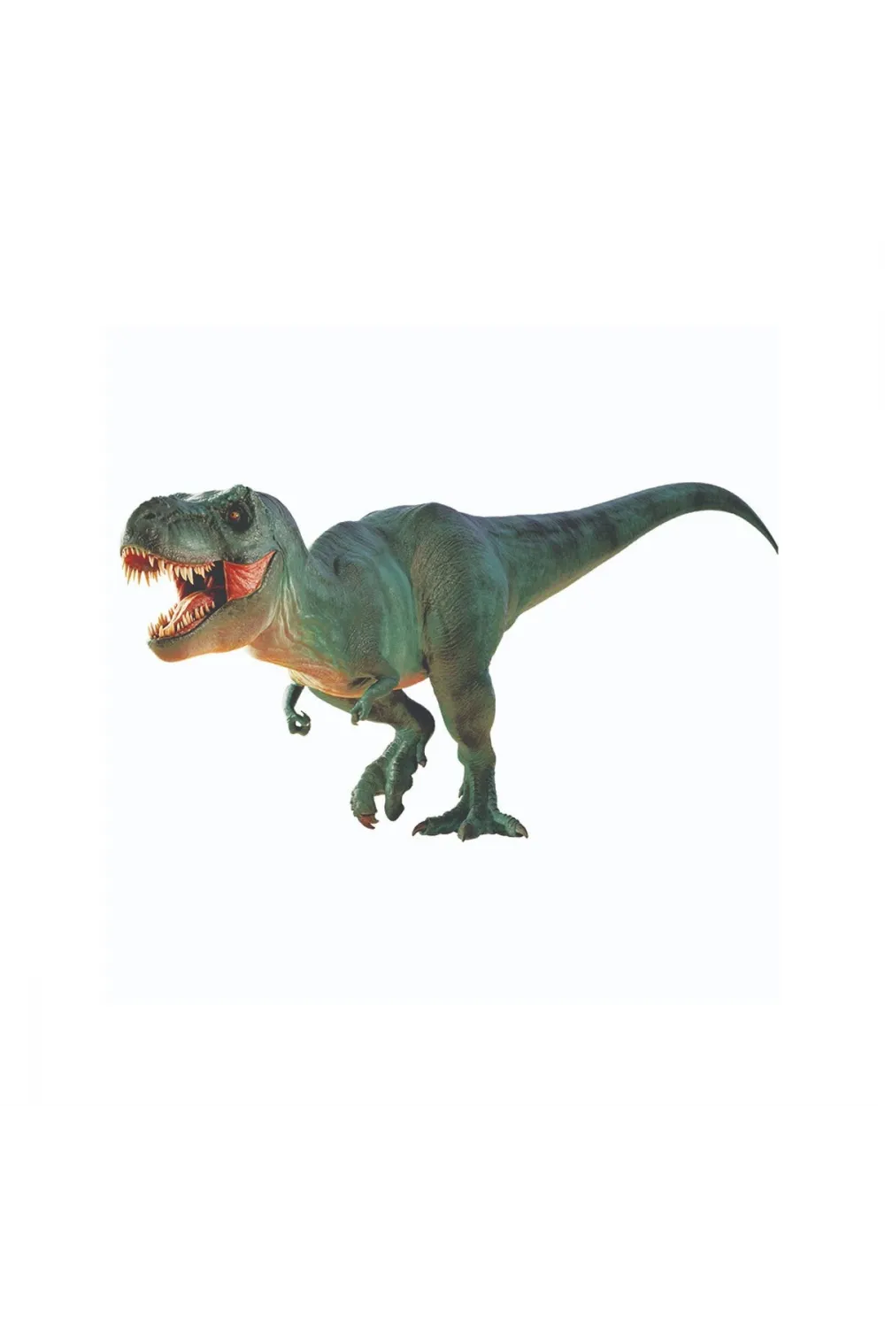 NAT06002 National Geographic Dino Kazı Kiti - RTNGDINO2 +8 yaş