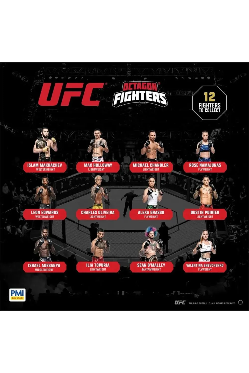 PMI/UFC2009