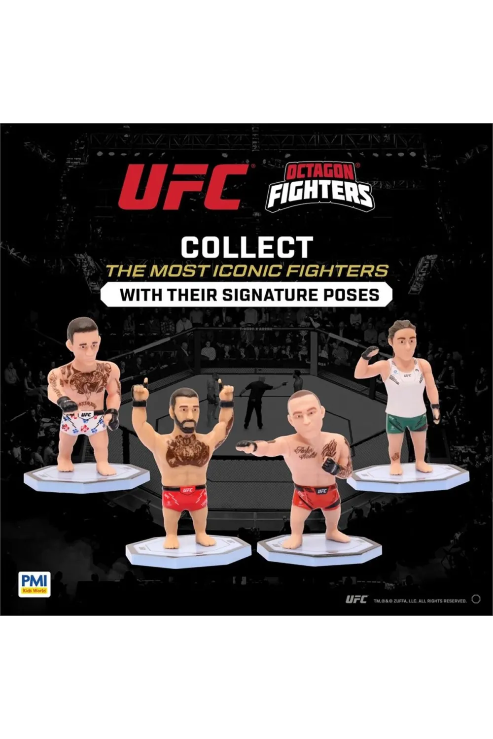 PMI/UFC2009