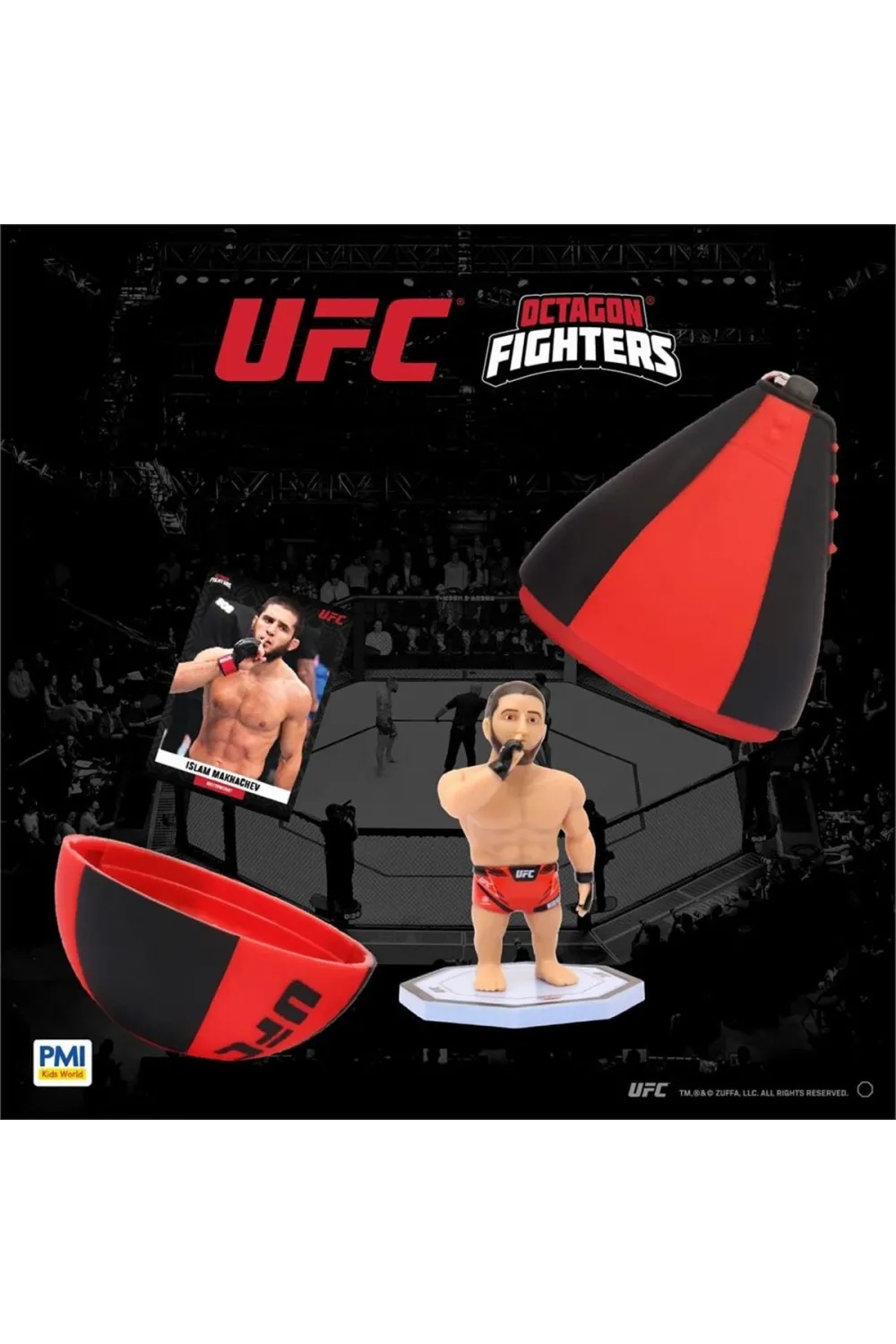 PMI/UFC2009