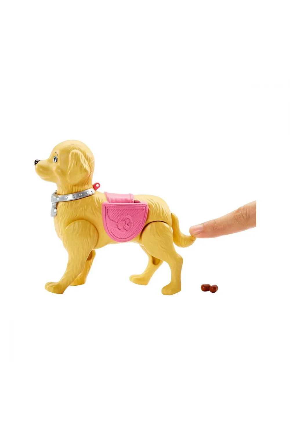 DWJ68 Barbie ve Köpeği Tuvalet Eğitiminde