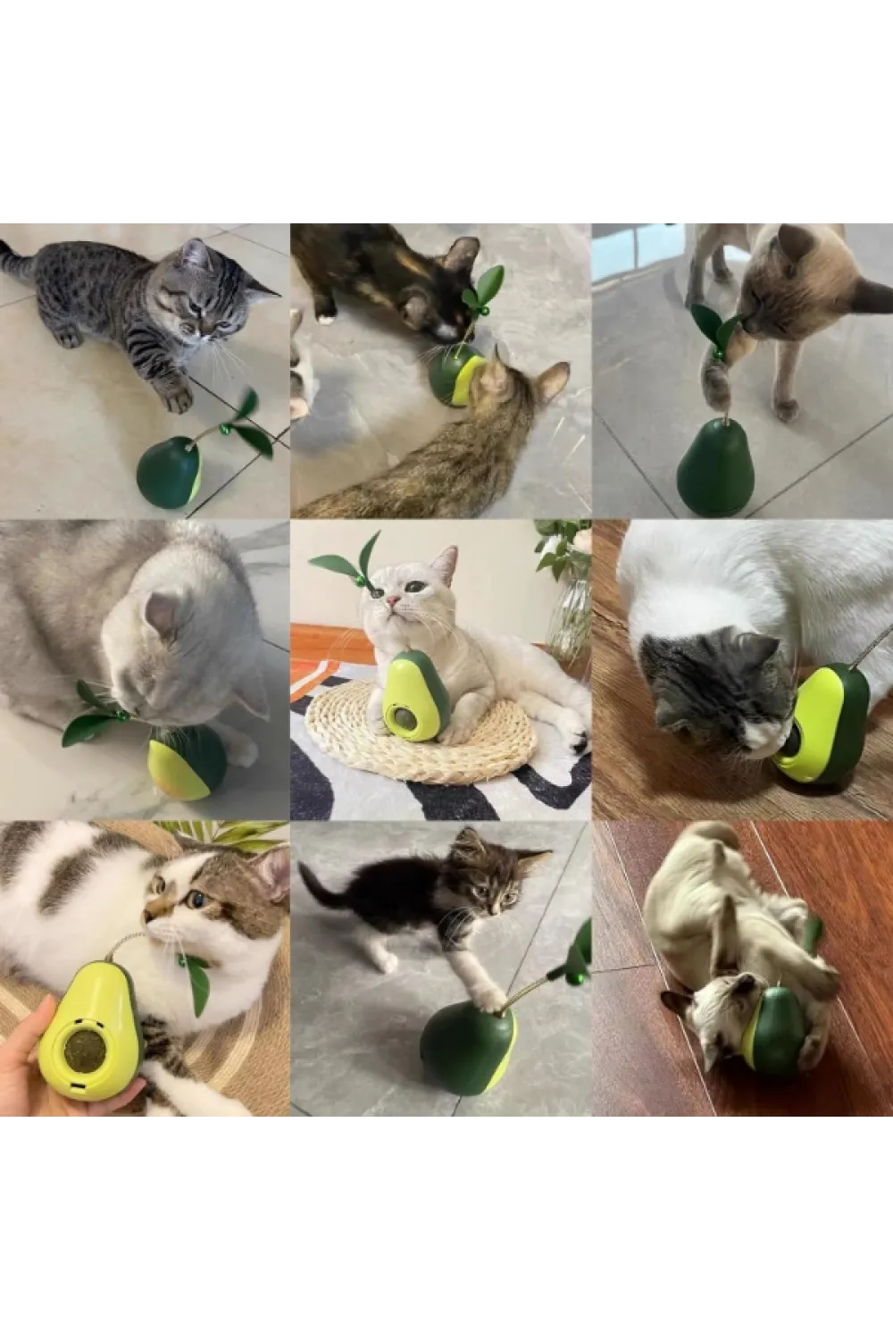 Avokado Şeklinde Kedi Naneli ve Mama Hazneli Kedi Oyuncağı