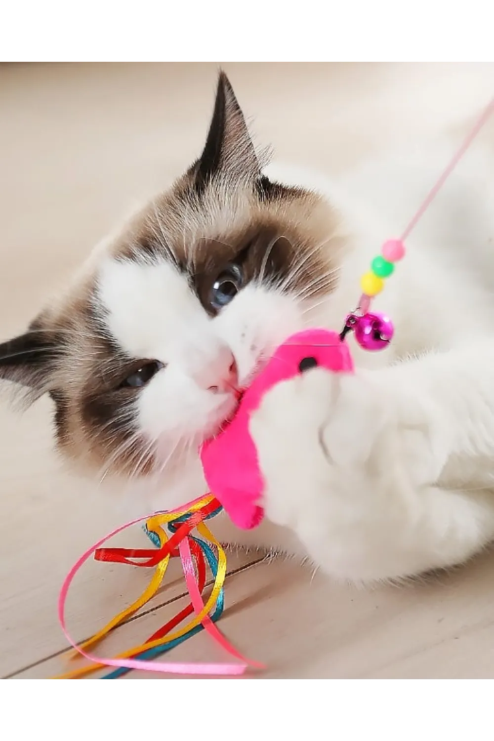 Balıklı Kedi Oyun Oltası