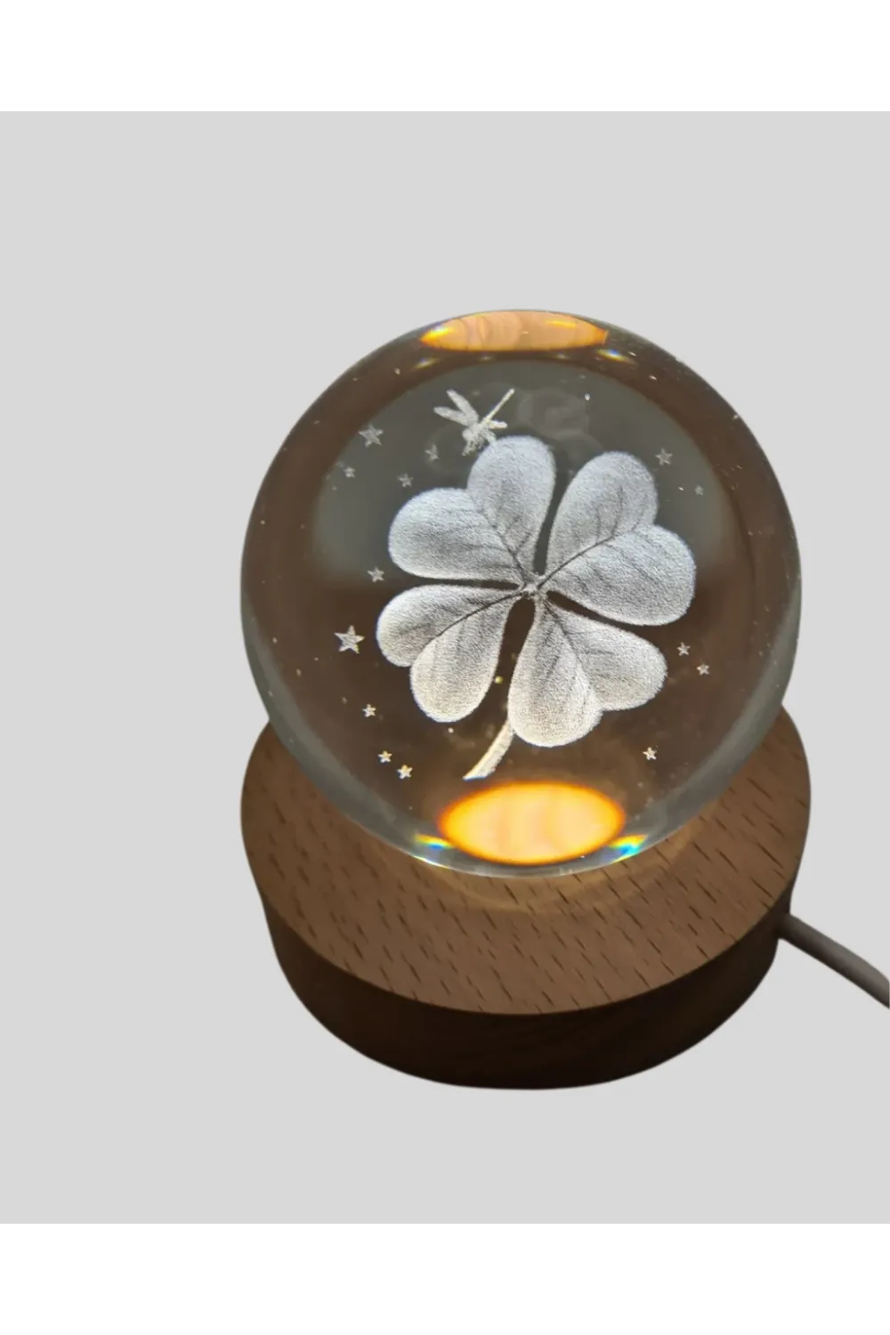 Bitki Temalı Led Işıklı Cam Küre Ahşap Standlı Modern Gece Lambası