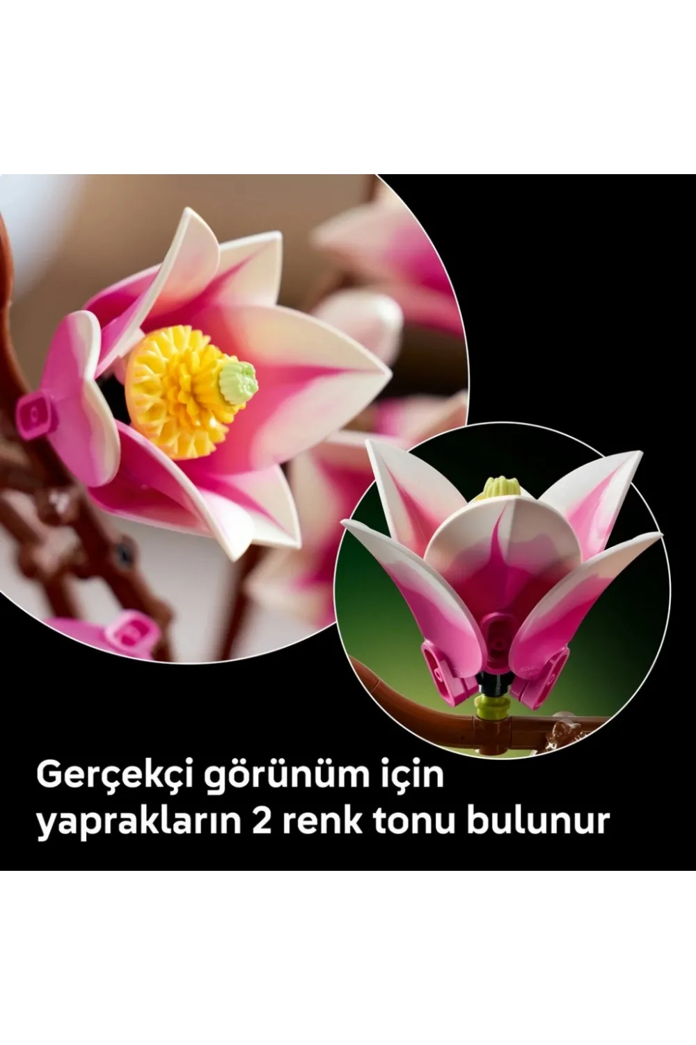 Botanicals Manolya Dalları 11510