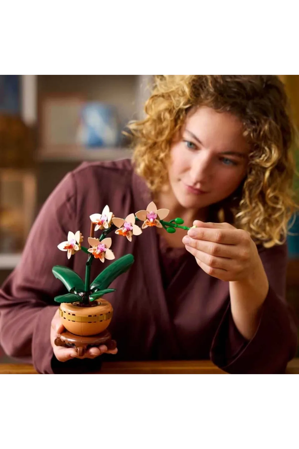Botanicals Mini Orkide 10343