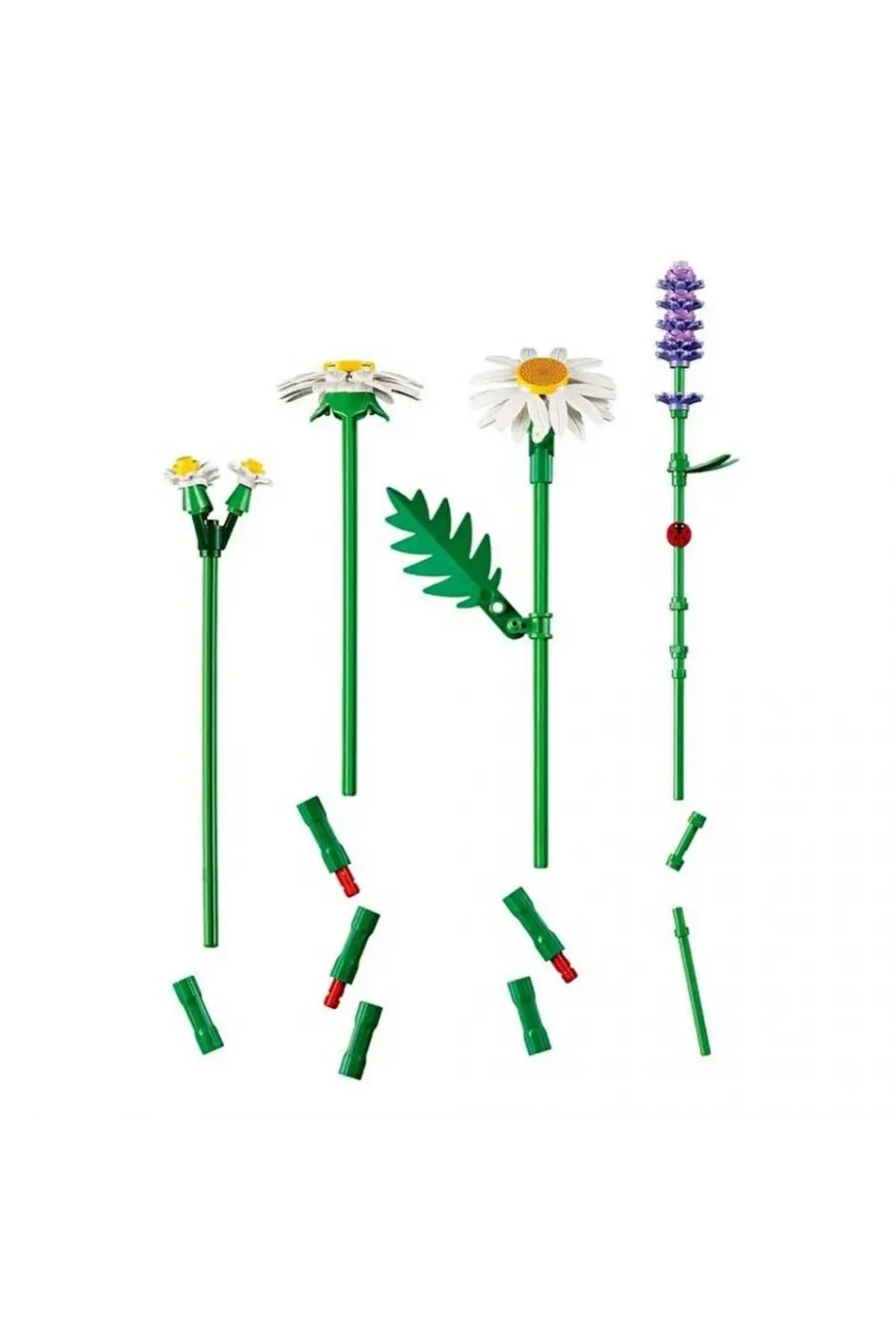 Botanicals Papatyalar 11508