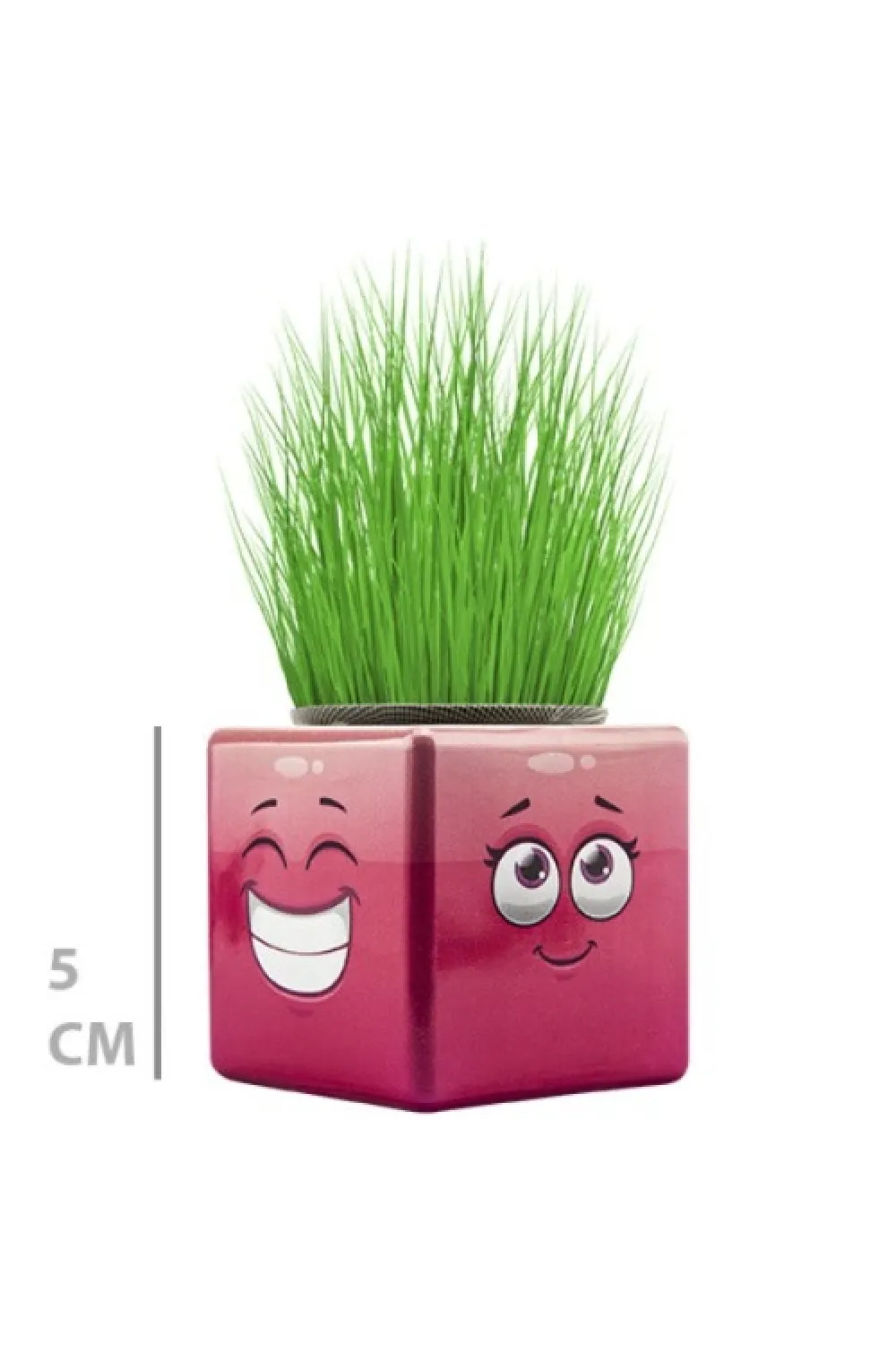 Çim Adam Mini Küp Emoji Figürlü 1 Adet