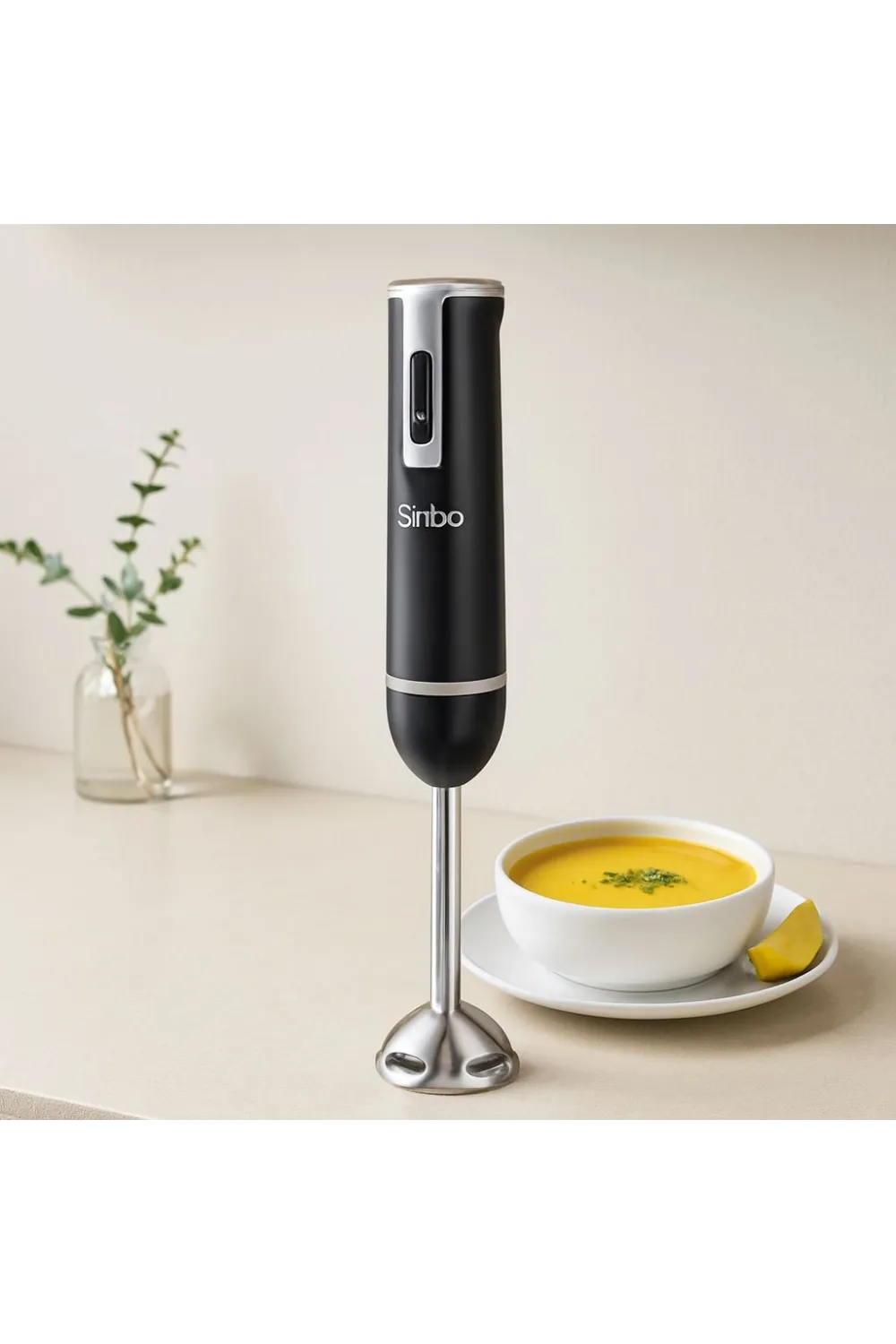 Çubuk Blender 300W Çelik Uçlu