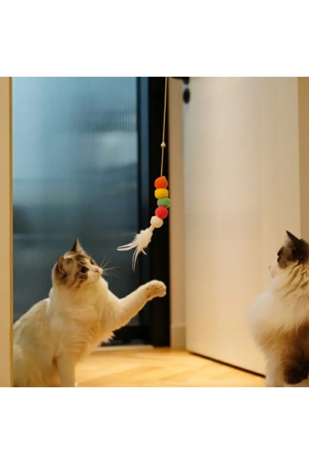 Elastik Kendinden Yapışkanlı Solucan Kedi Oltası