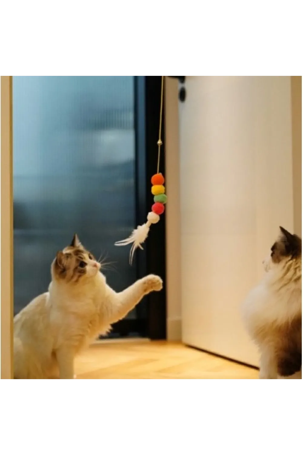 Elastik Yapışkanlı Kedi Oyun Oltası