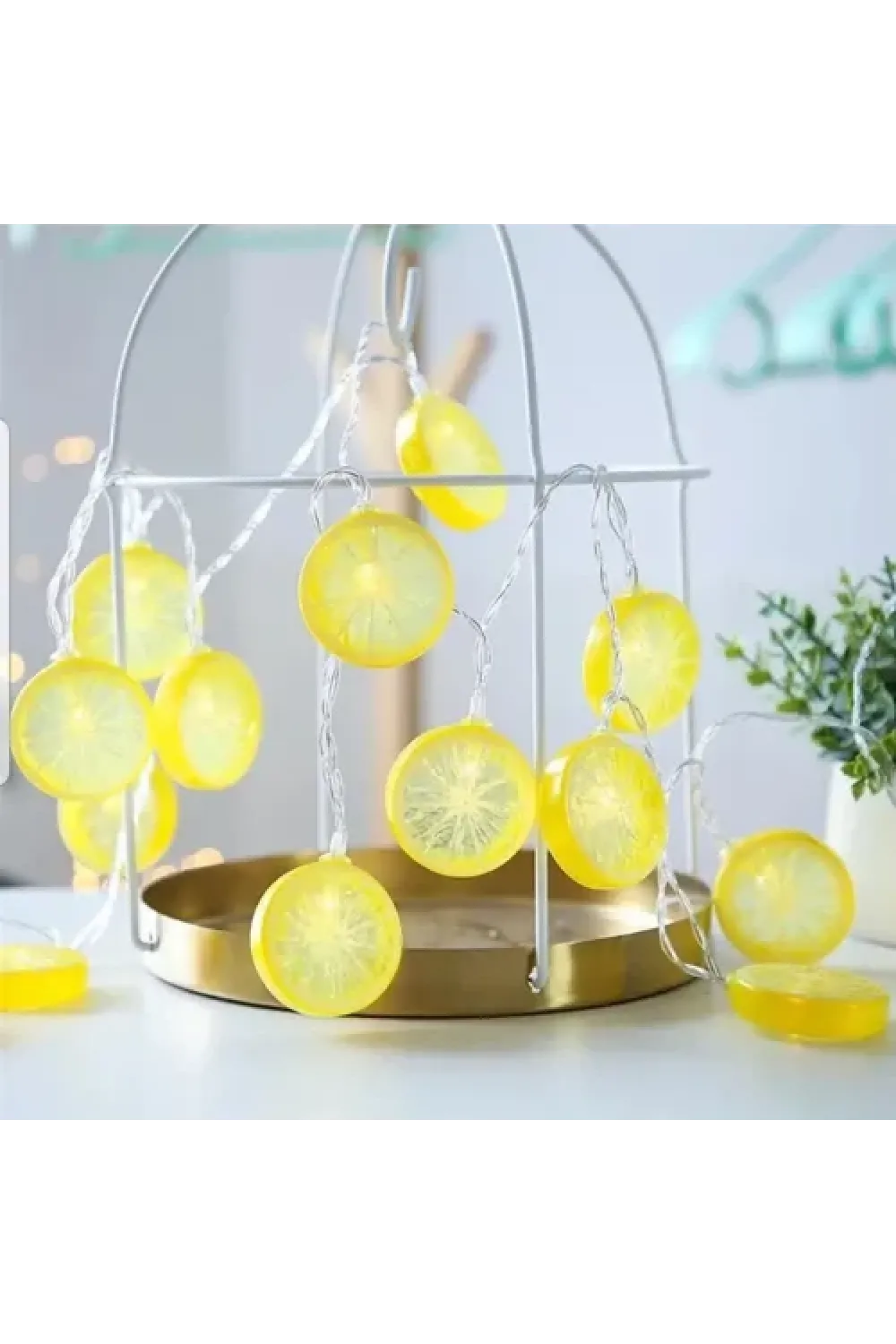 2m 10 Led Pilli Limon Işık