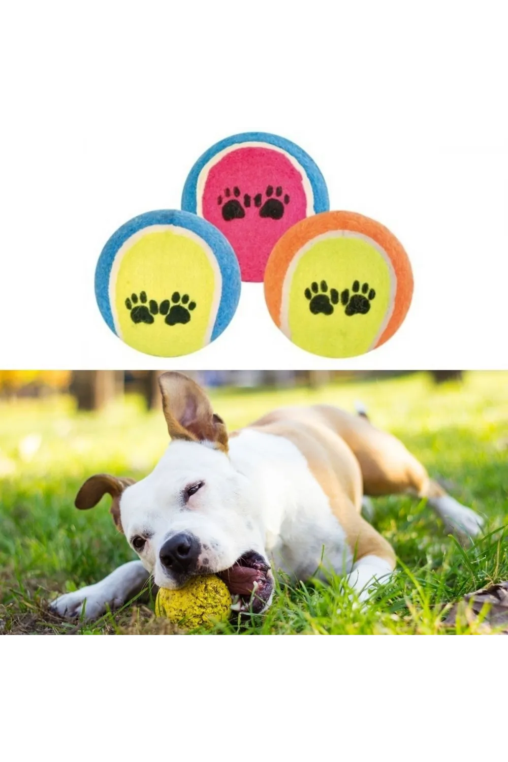 3lü Renkli Desenli Tenis Topu Kedi Köpek Oyuncağı