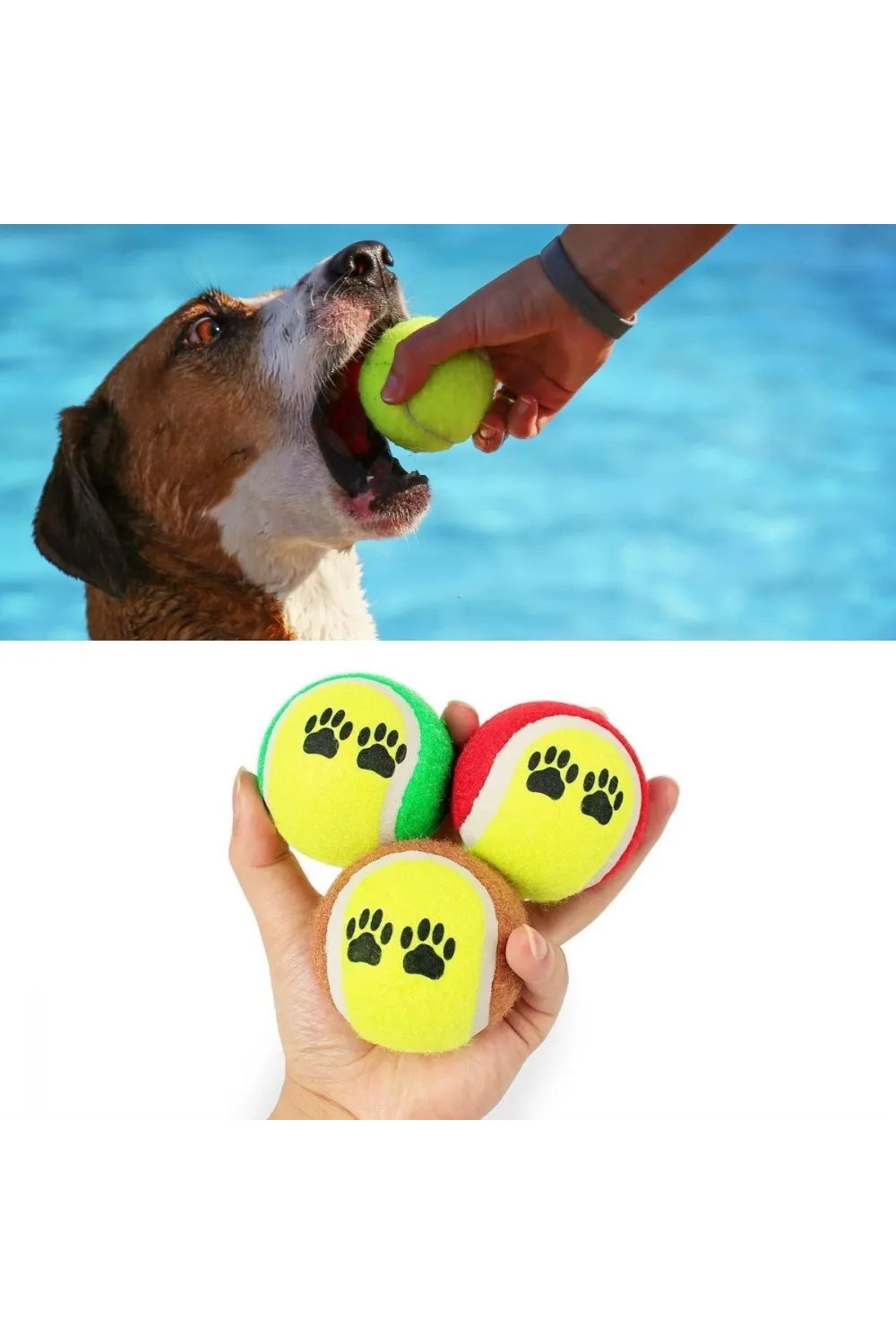 3lü Renkli Desenli Tenis Topu Kedi Köpek Oyuncağı