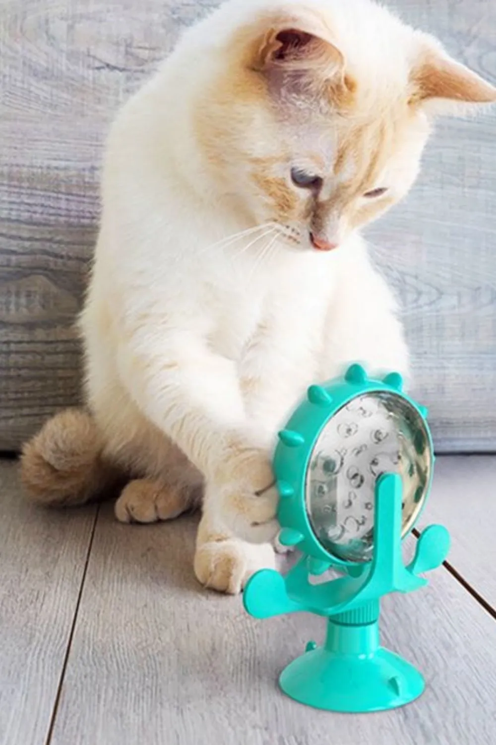 Vantuzlu Zilli İnteraktif Dönebilen Mama Kaplı Renkli Eğlenceli Eğitici Kedi Oyuncağı