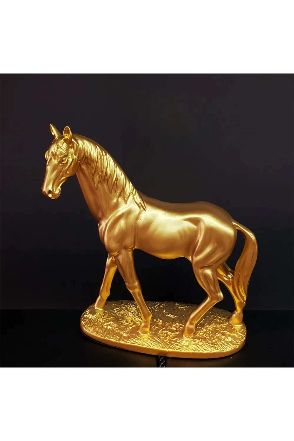 Gold Renk At Biblosu