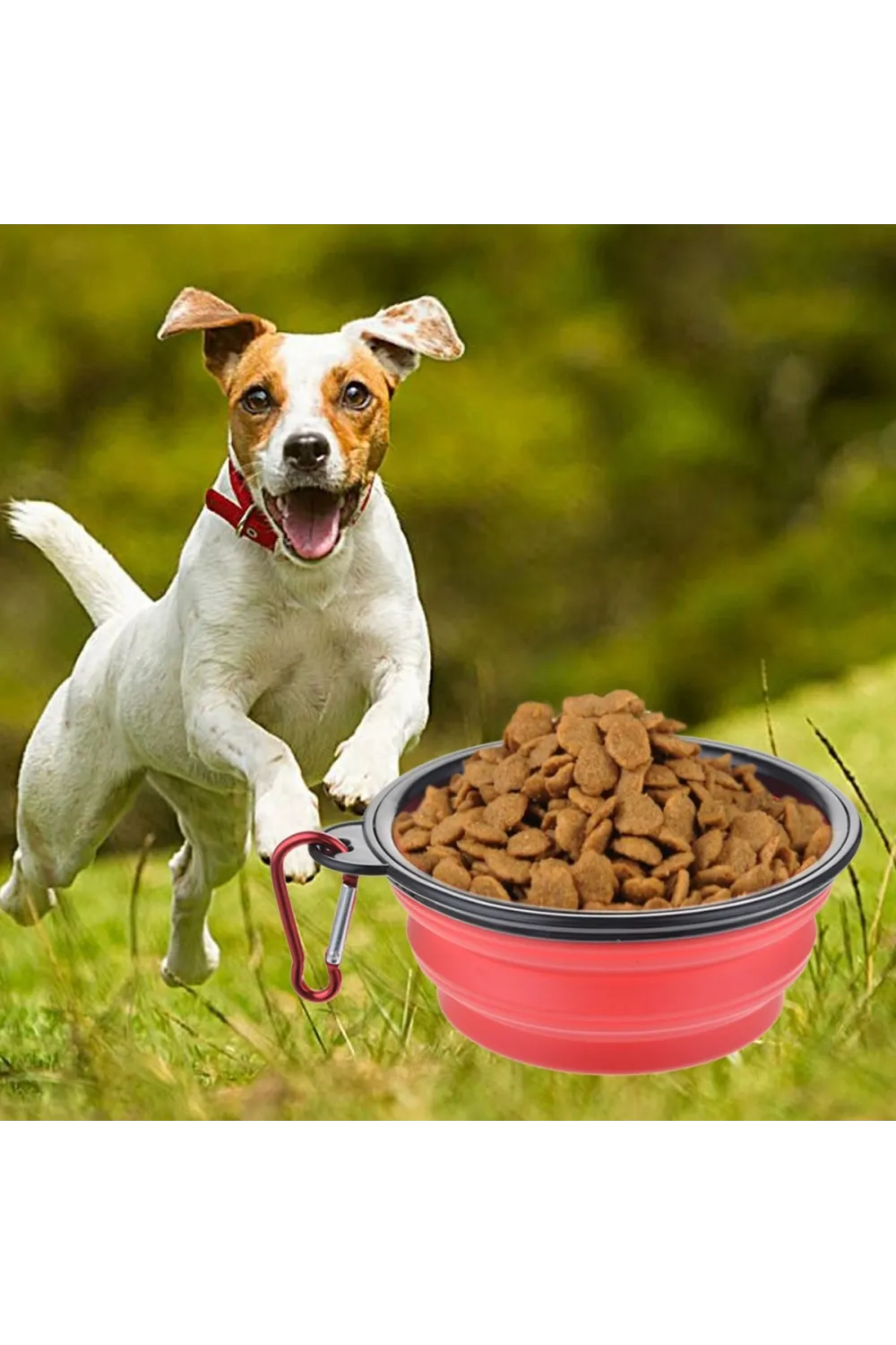 Katlanabilir Kedi Köpek Mama ve Su Kabı Köpek Oyuncağı