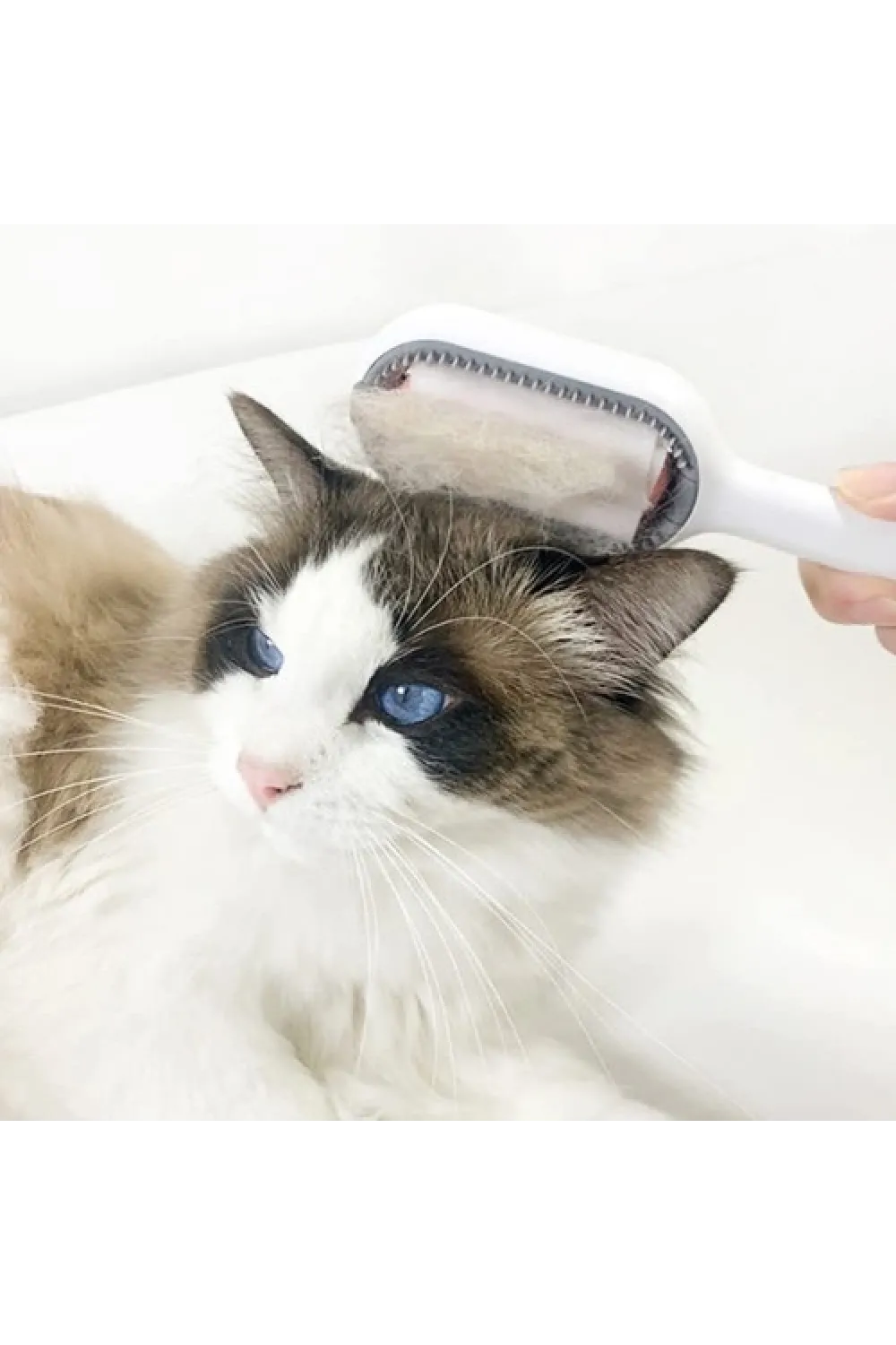 Kedi Köpek Tüy Toplama Tarağı