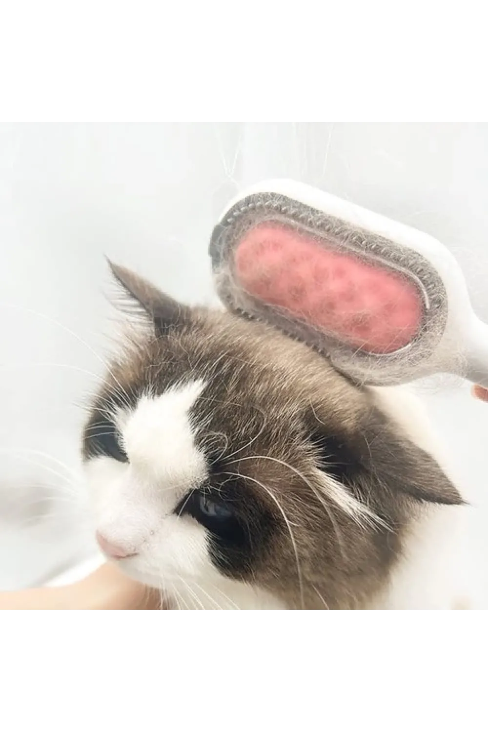 Kedi Köpek Tüy Toplama Tarağı