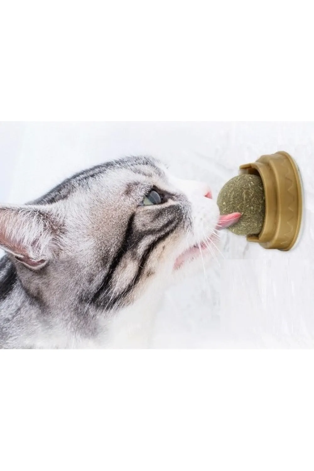 Kedi Nanesi (Catnip) Oyun Topu