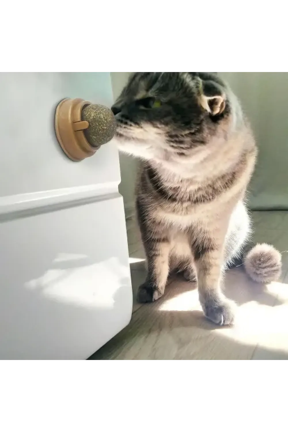 Kedi Nanesi Oyun Topu
