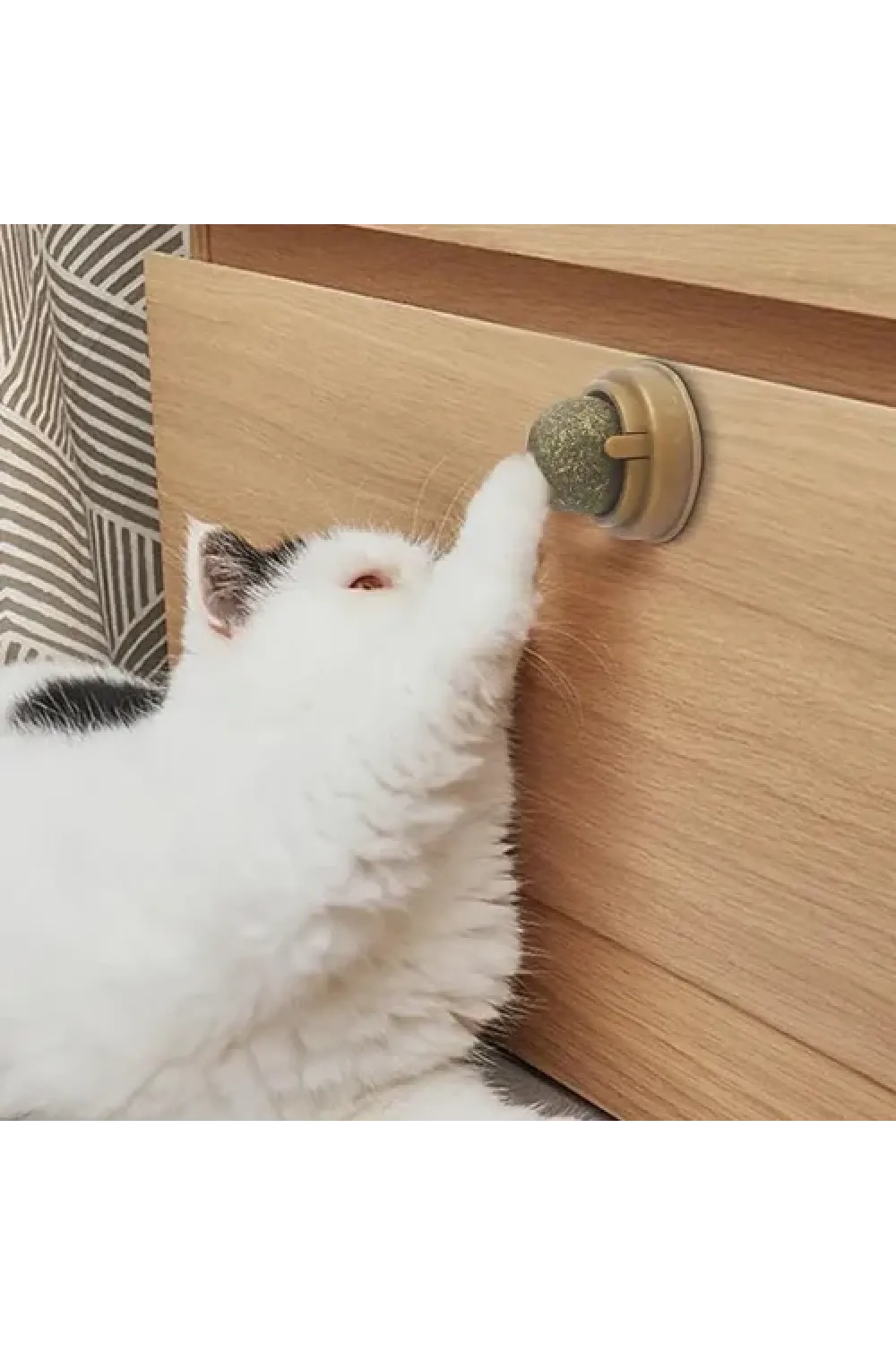 Kedi Nanesi Oyun Topu