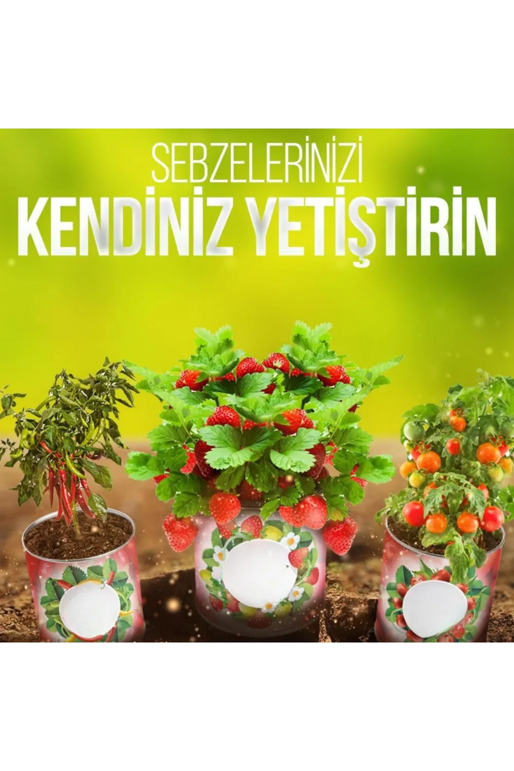 Konserve Bahçem Evde Konservede Fındık Turp Yetiştirme Kiti