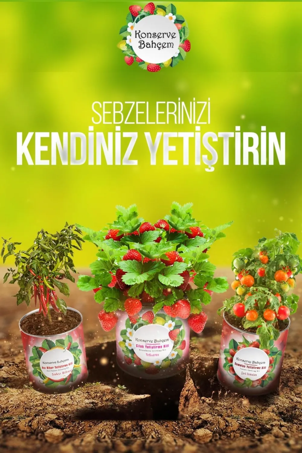 Konserve Bahçem Evde Konservede Kolay Ispanak Yetiştirme Kiti