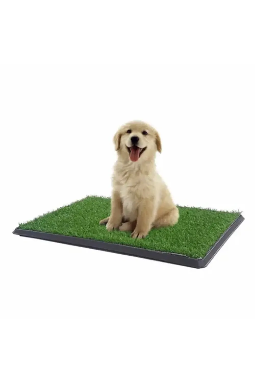 Köpek Tuvalet Eğitim Seti