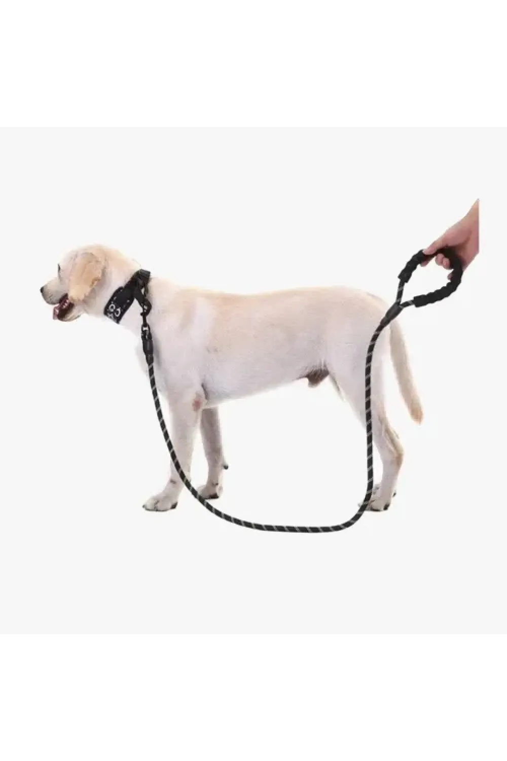 Köpekler İçin Reflektörlü Halat Gezdirme Tasması