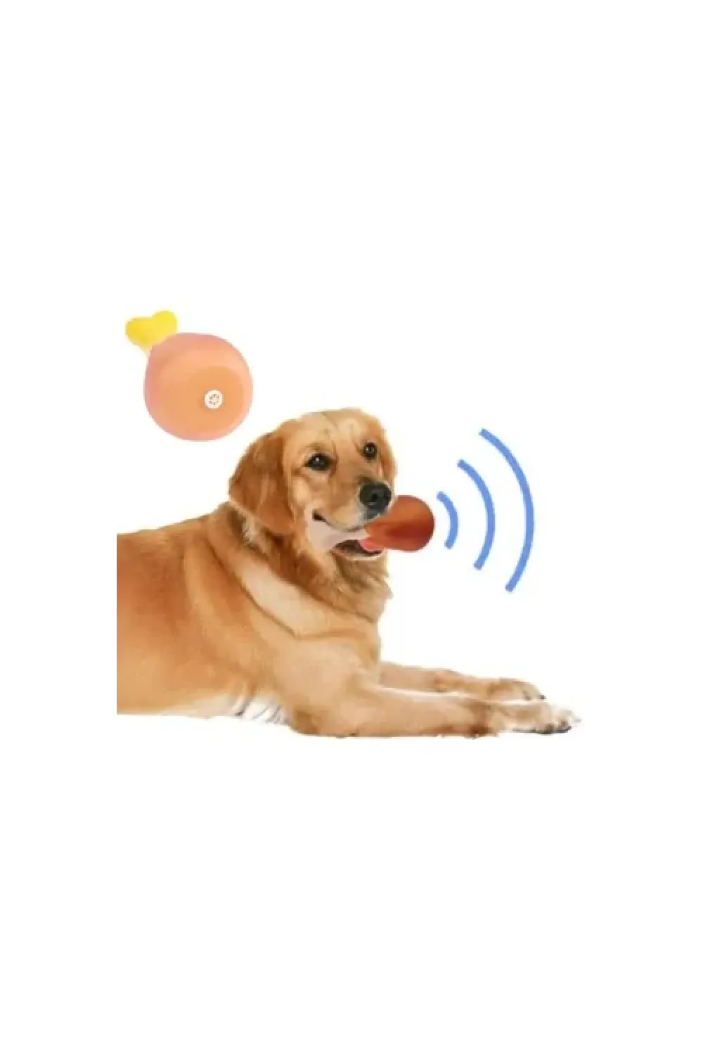 Köpekler İçin Sesli Oyuncak Tavuk Butu