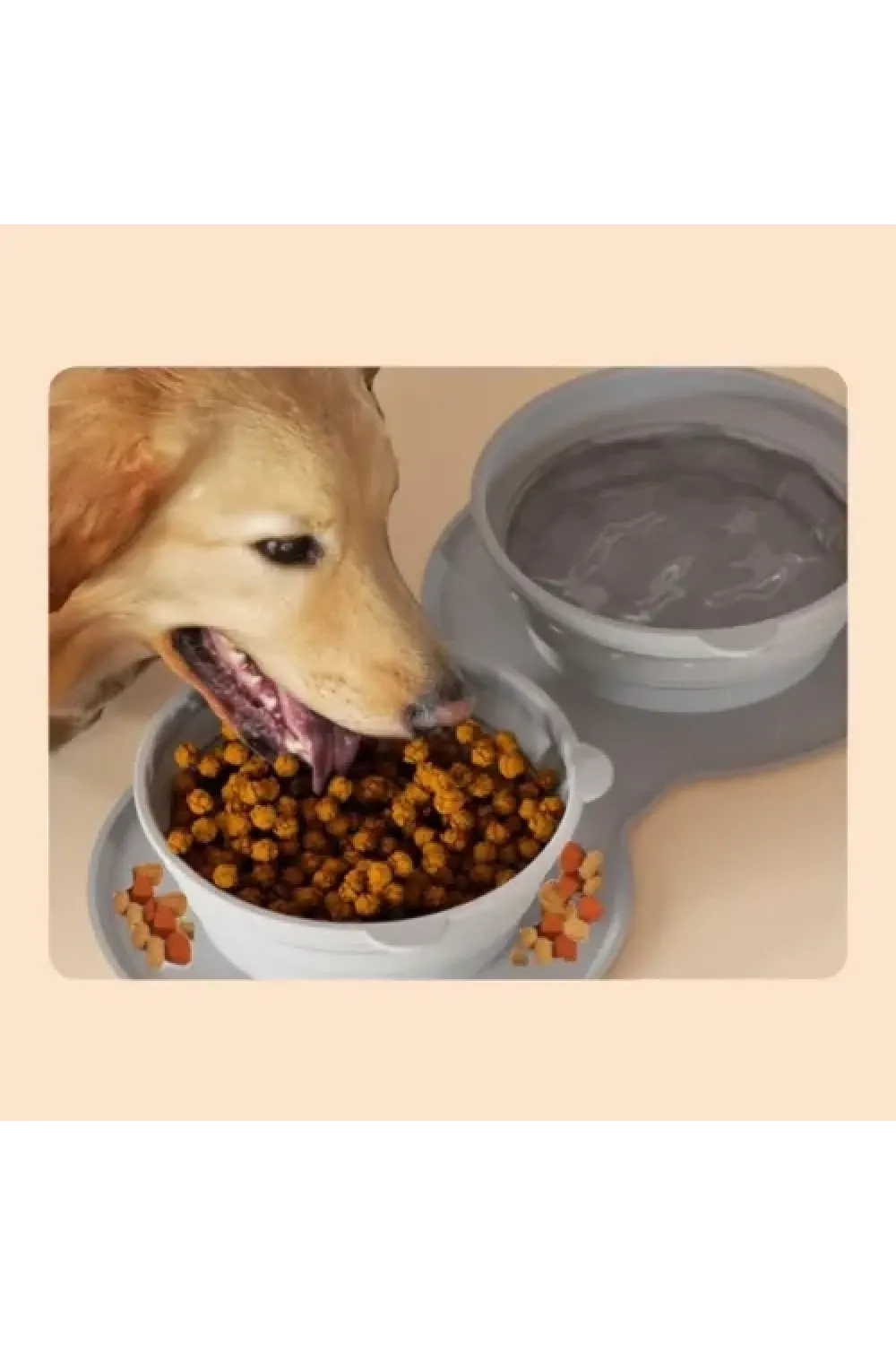 Mikopet Katlanabilir İkili Mama ve Su Kabı