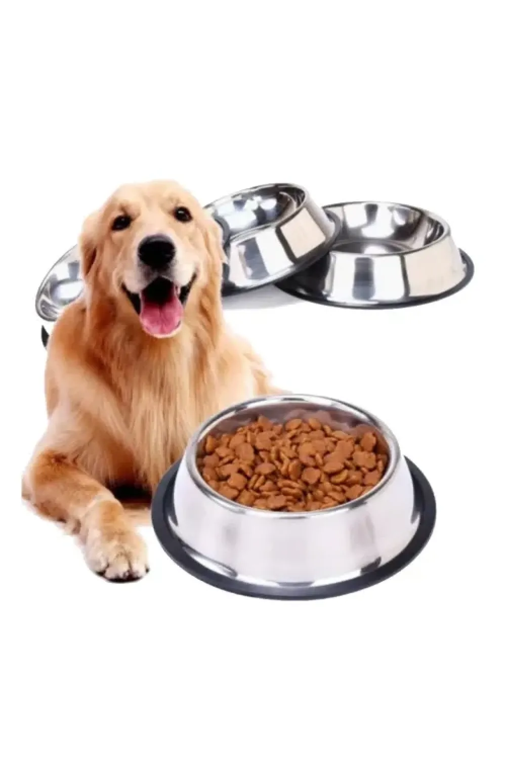 Paslanmaz Çelik Kedi/Köpek Mama Kabı